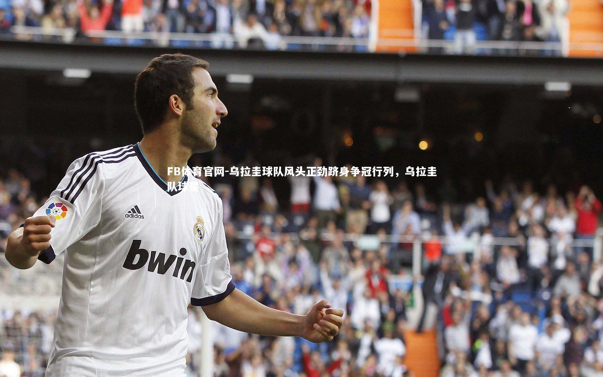 乌拉圭球队风头正劲跻身争冠行列,乌拉圭队球星