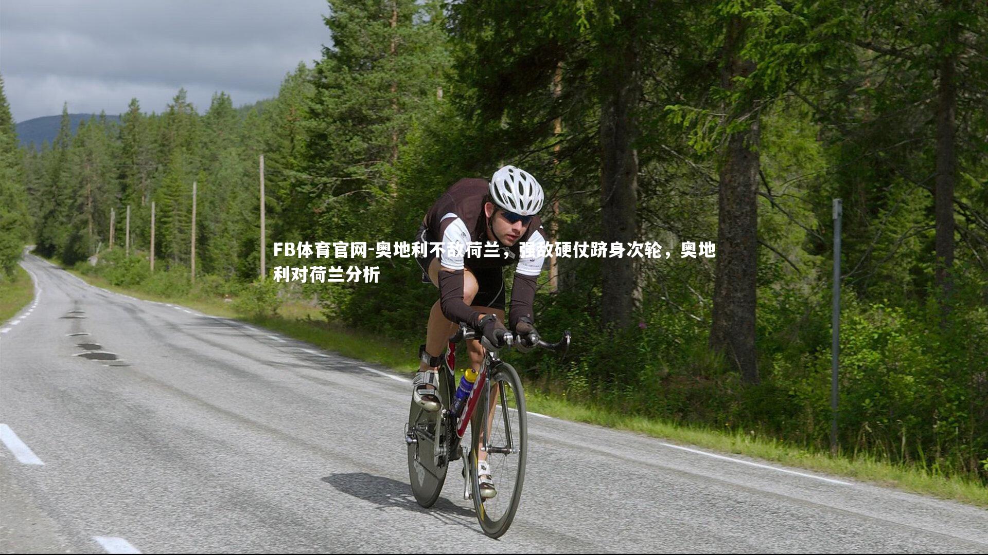 FB体育官网-奥地利不敌荷兰，强敌硬仗跻身次轮，奥地利对荷兰分析