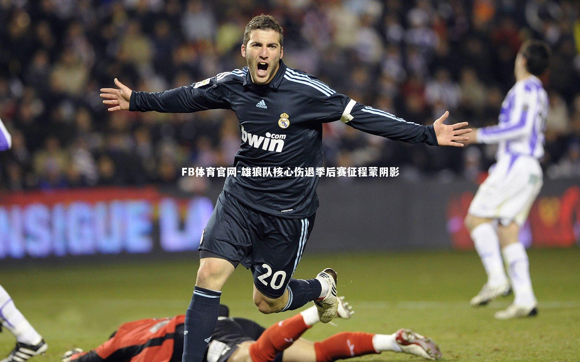 雄狼队核心伤退季后赛征程蒙阴影