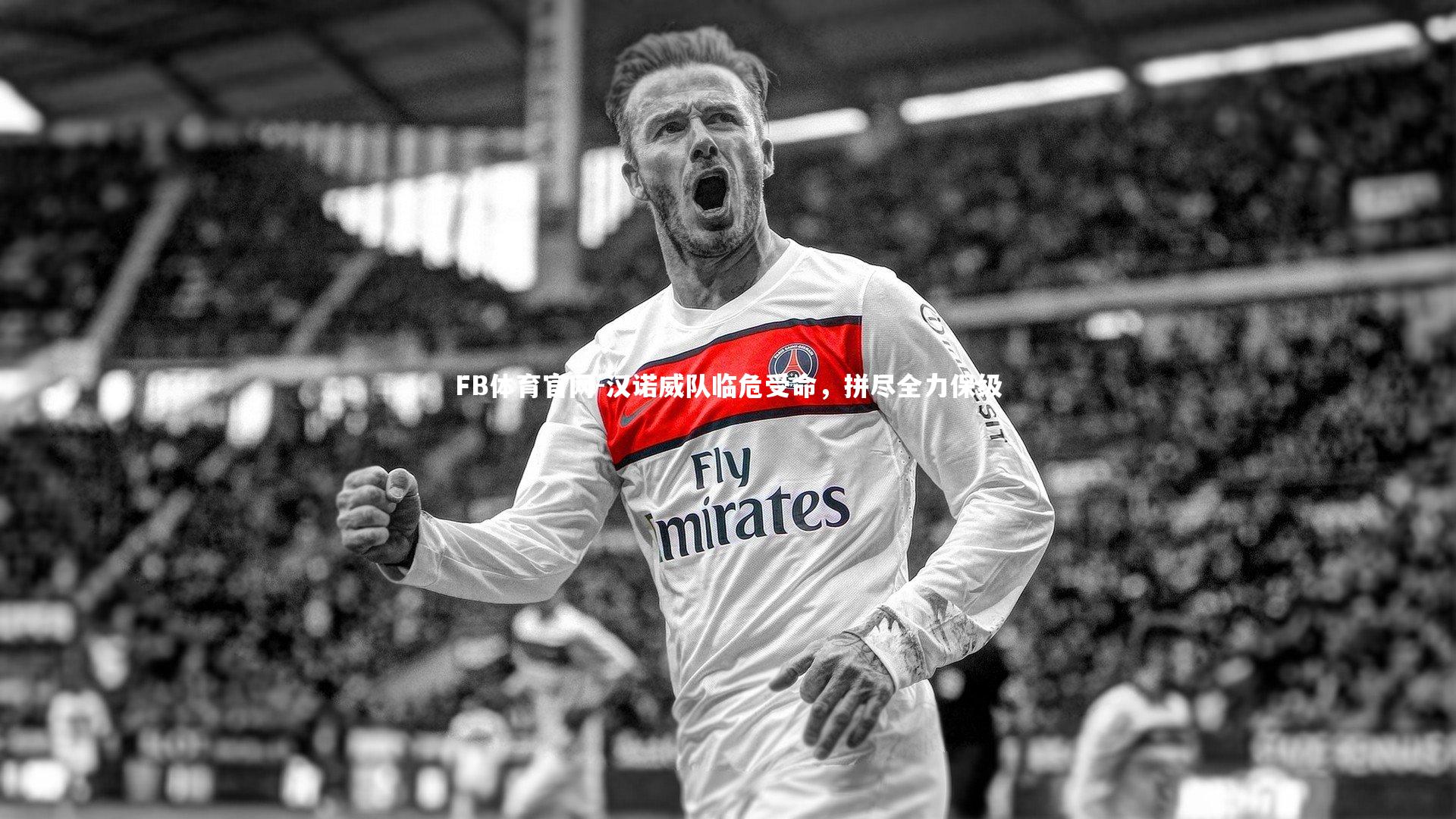 FB体育官网-汉诺威队临危受命，拼尽全力保级